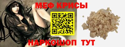 стафф Кингисепп