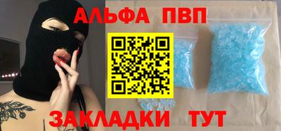 стафф Кингисепп