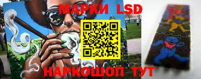 стафф Кингисепп