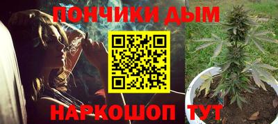 стафф Кингисепп