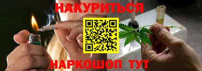 стафф Кингисепп