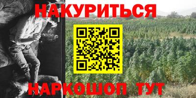 стафф Кингисепп