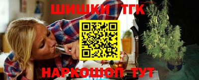стафф Кингисепп