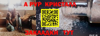 стафф Кингисепп