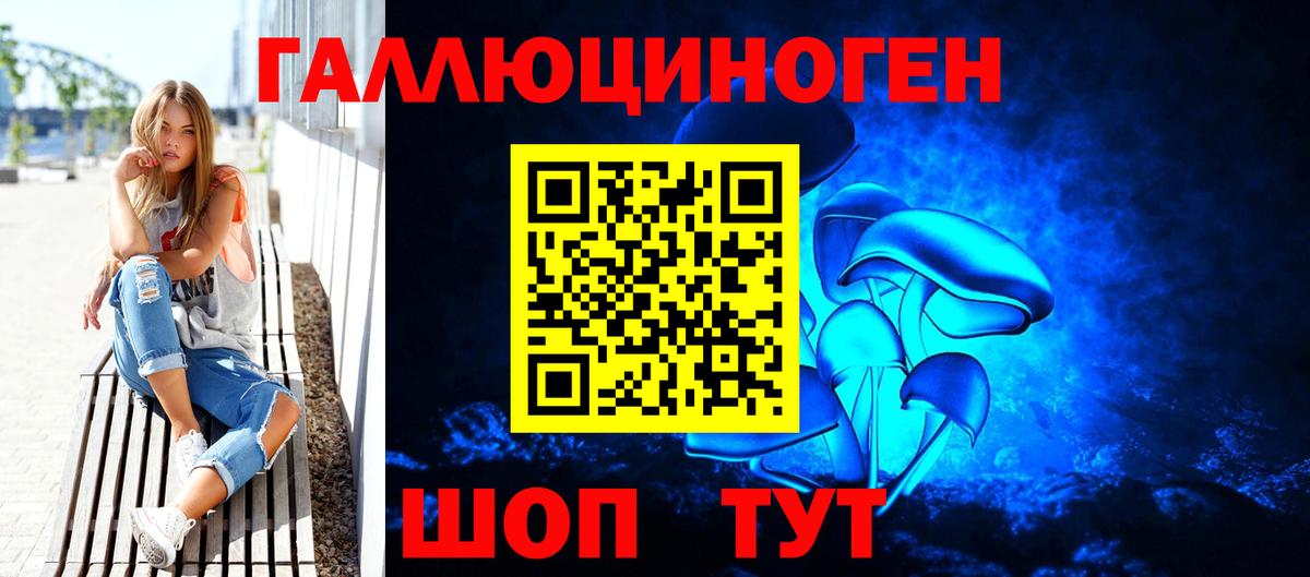 где продают наркотики  Псилоцибиновые грибы Psilocybine cubensis  Вход с VPN  Псилоцибиновые грибы прущие грибы  Карачаевск 